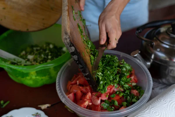 Salat Aus Grünzeug Der Natur Kochen — Stockfoto