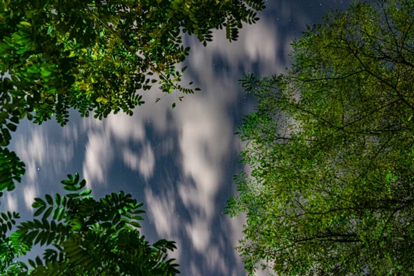 Estrellas Cielo Nocturno —  Fotos de Stock