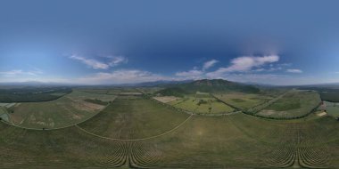 Büyüyen üzümlerden oluşan 360 manzara