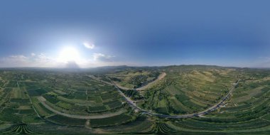 360 panorama üzüm bağı, sıra sıra üzüm, üzüm üretimi
