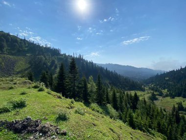 Bakhmaro Köyü, Gürcistan'ın en güzel dağ tatil