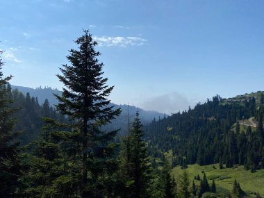 Bakhmaro Köyü, Gürcistan'ın en güzel dağ tatil