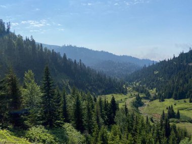 Bakhmaro Köyü, Gürcistan'ın en güzel dağ tatil