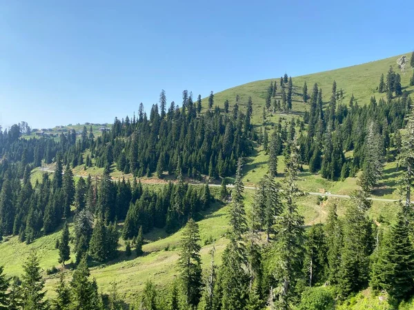 Bakhmaro Aldeia Uma Das Mais Belas Estâncias Montanha Geórgia — Fotografia de Stock