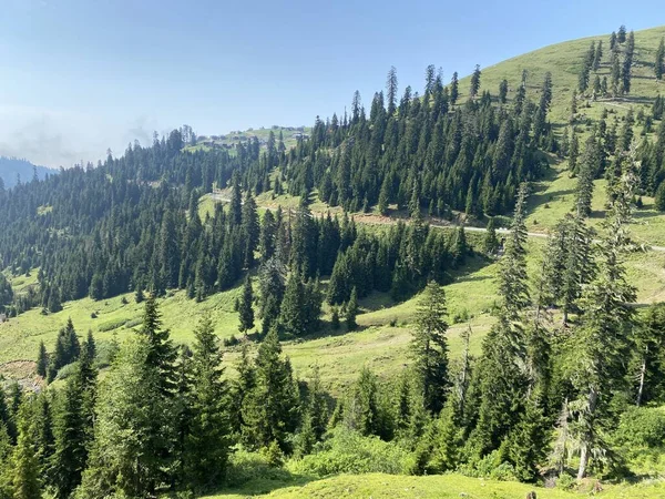 Bakhmaro Aldeia Uma Das Mais Belas Estâncias Montanha Geórgia — Fotografia de Stock