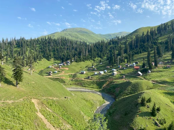 ジョージアの最も美しい山のリゾートの Bakhmaro — ストック写真