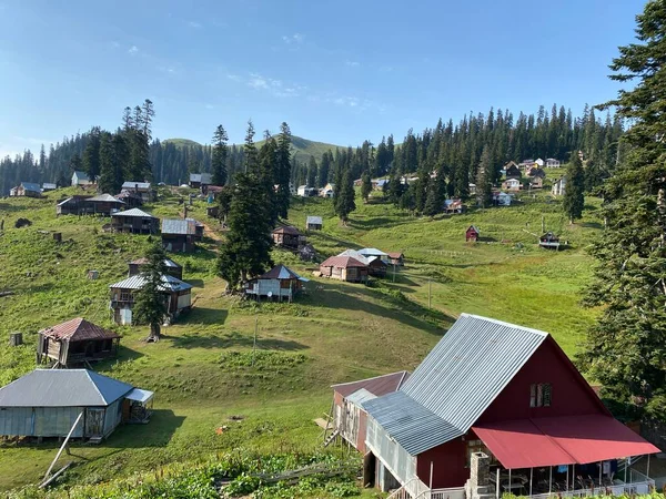 Bakhmaro Aldeia Uma Das Mais Belas Estâncias Montanha Geórgia — Fotografia de Stock