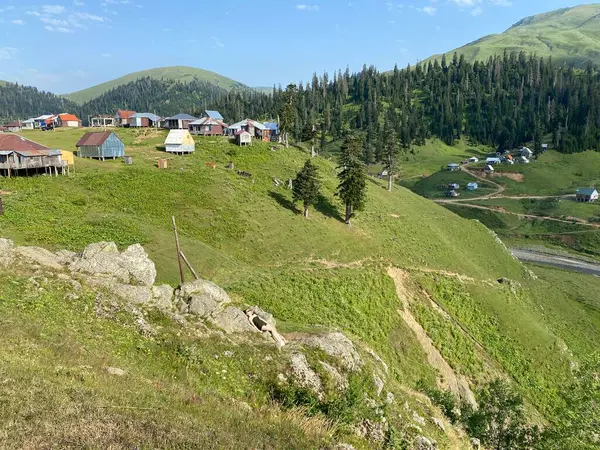 Bakhmaro Aldeia Uma Das Mais Belas Estâncias Montanha Geórgia — Fotografia de Stock