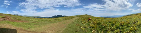 Село Bakhmaro Один Найкрасивіших Гірських Курортів Грузії — стокове фото