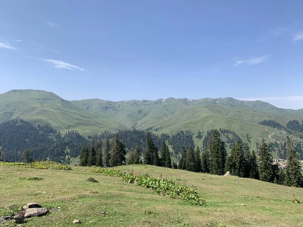 Bakhmaro Aldeia Uma Das Mais Belas Estâncias Montanha Geórgia — Fotografia de Stock