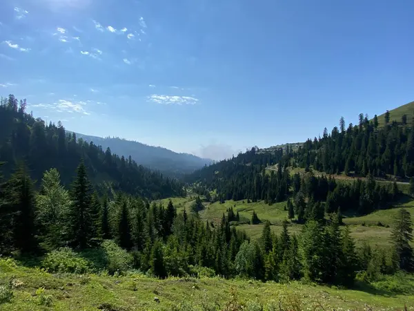 Bakhmaro Aldeia Uma Das Mais Belas Estâncias Montanha Geórgia — Fotografia de Stock