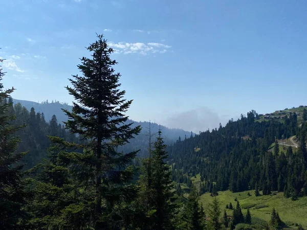 Bakhmaro Dorf Einer Der Schönsten Bergorte Georgiens — Stockfoto