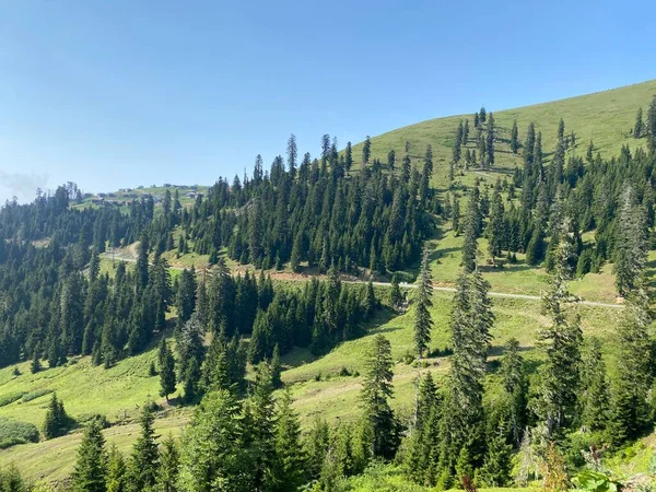 Bakhmaro Village One Most Beautiful Mountain Resorts Georgia — Stock Photo, Image