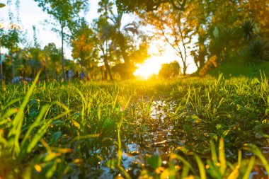 Parkta güzel bir gün batımı