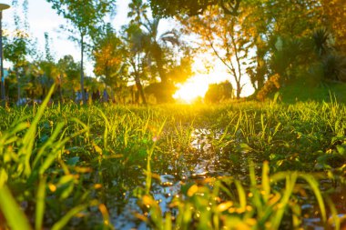 Parkta güzel bir gün batımı