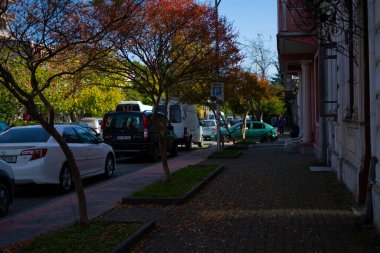 Batumi, Gürcistan - 2 Kasım 2021: Sonbaharda şehir caddesi