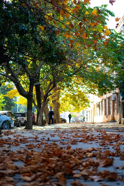 Herbstlaub Der Stadt — Stockfoto