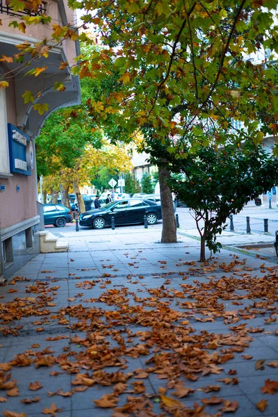 Herbstlaub Der Stadt — Stockfoto
