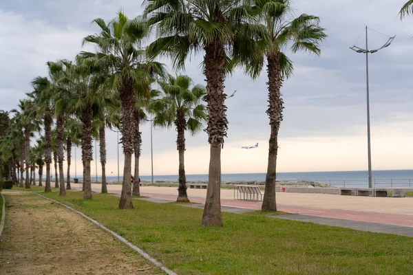 Sjönära Park Lech Och Maria Kaczynski Batumi — Stockfoto