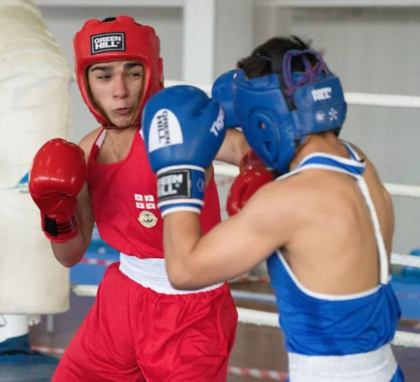 Batumi, Gürcistan - 12 Aralık 2021: Boks turnuvası