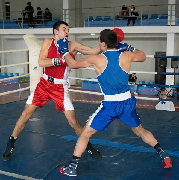 Batumi Georgië December 2021 Bokstoernooi — Stockfoto