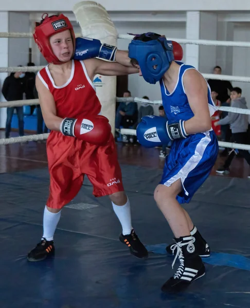 Batumi, Gürcistan - 12 Aralık 2021: Boks turnuvası