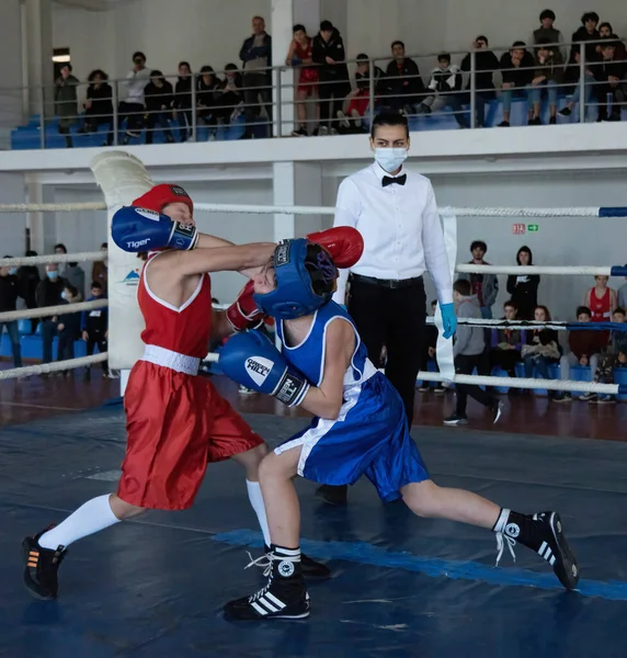 Batumi Georgia December 2021 Boxing Tournament — Stock Photo, Image