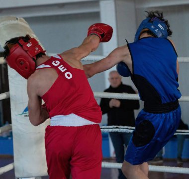 Batumi, Gürcistan - 12 Aralık 2021: Boks turnuvası