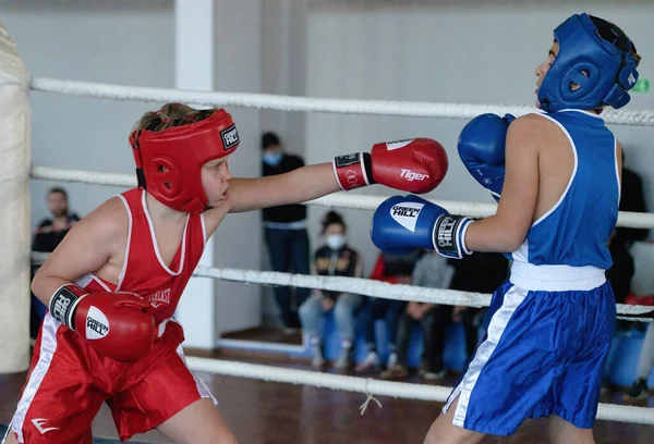 ジョージア州バトゥミ 2021年12月12日ボクシングトーナメント — ストック写真