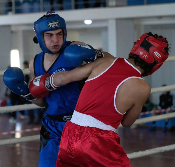 Batumi Gürcistan Aralık 2021 Boks Turnuvası — Stok fotoğraf