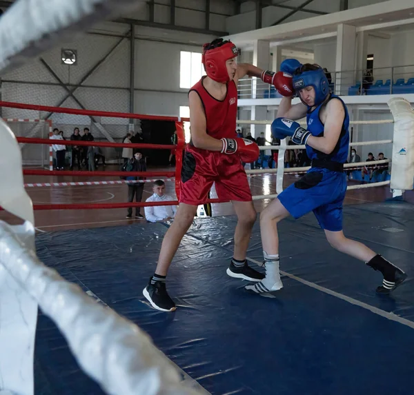 Batumi, Gürcistan - 12 Aralık 2021: Boks turnuvası