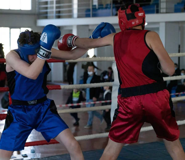 Batumi, Gürcistan - 12 Aralık 2021: Boks turnuvası