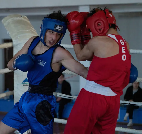 Batumi, Gürcistan - 12 Aralık 2021: Boks turnuvası