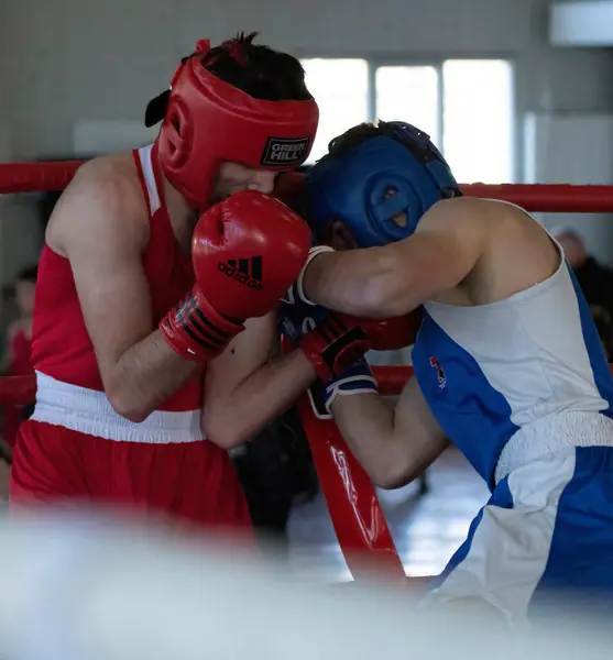 Batumi, Gürcistan - 12 Aralık 2021: Boks turnuvası