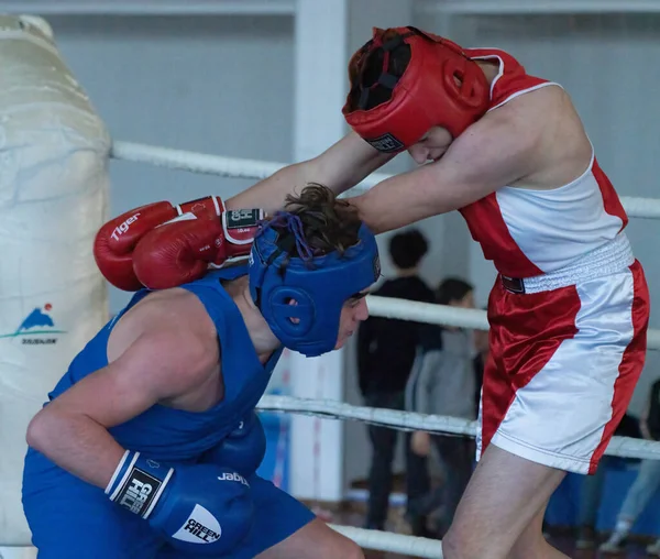 Batumi, Gürcistan - 12 Aralık 2021: Boks turnuvası