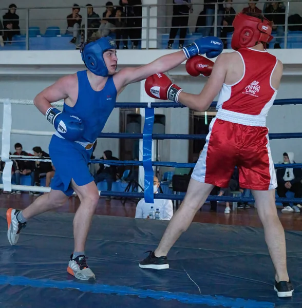 Batumi Georgien Dezember 2021 Boxturnier — Stockfoto