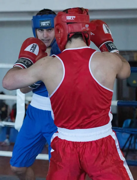 Batumi Geórgia Dezembro 2021 Torneio Boxe — Fotografia de Stock