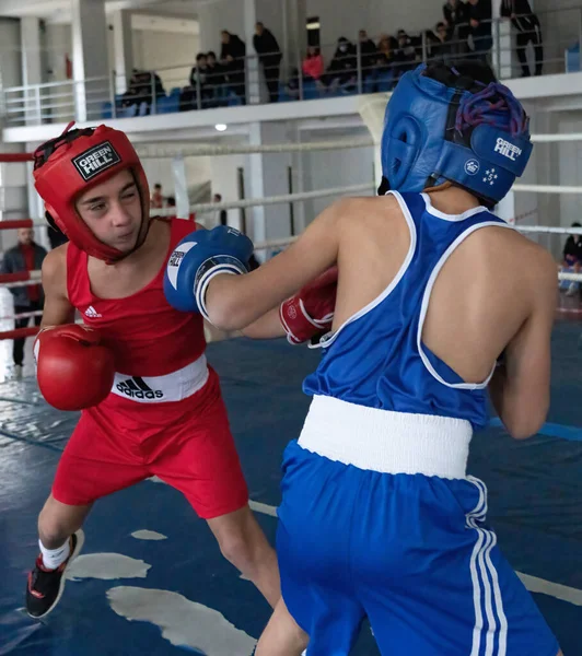 Batumi, Gürcistan - 12 Aralık 2021: Boks turnuvası