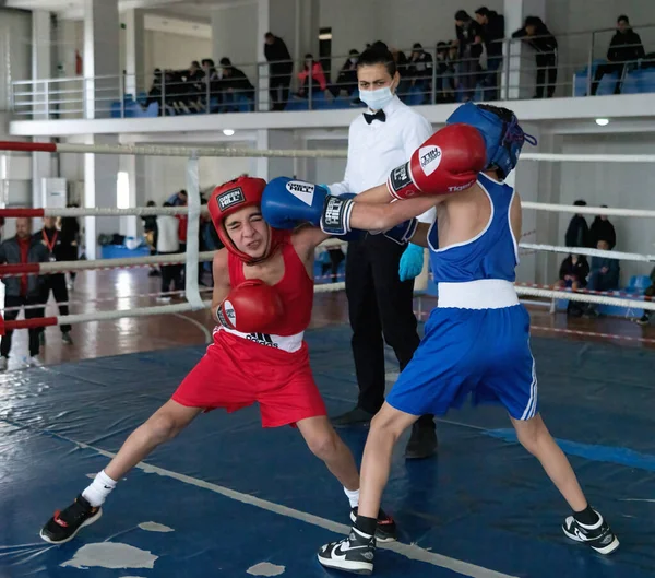 Batumi, Gürcistan - 12 Aralık 2021: Boks turnuvası