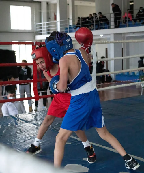 Batumi, Gürcistan - 12 Aralık 2021: Boks turnuvası