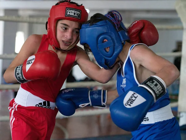 Batumi Georgia Diciembre 2021 Torneo Boxeo —  Fotos de Stock