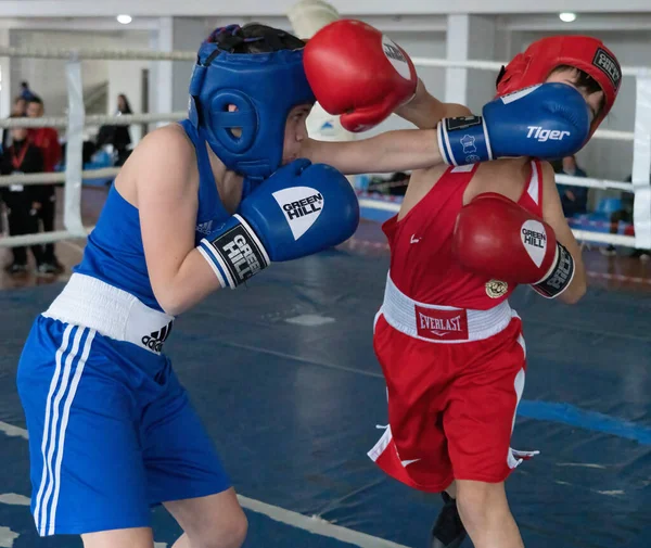 Batumi, Gürcistan - 12 Aralık 2021: Boks turnuvası