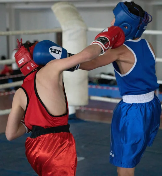 Batumi Georgia Dicembre 2021 Torneo Pugilato — Foto Stock