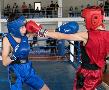 Batumi, Gürcistan - 12 Aralık 2021: Boks turnuvası