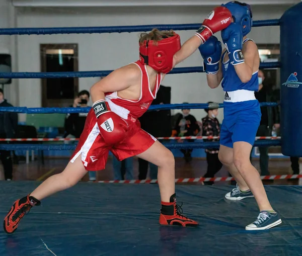 Batumi, Gürcistan - 12 Aralık 2021: Boks turnuvası