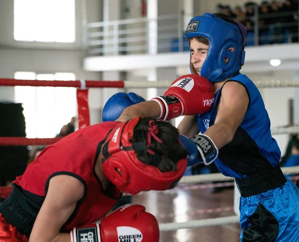 Batumi, Gürcistan - 12 Aralık 2021: Boks turnuvası