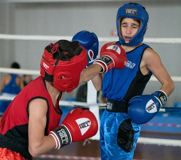 Batumi Georgia Diciembre 2021 Torneo Boxeo —  Fotos de Stock