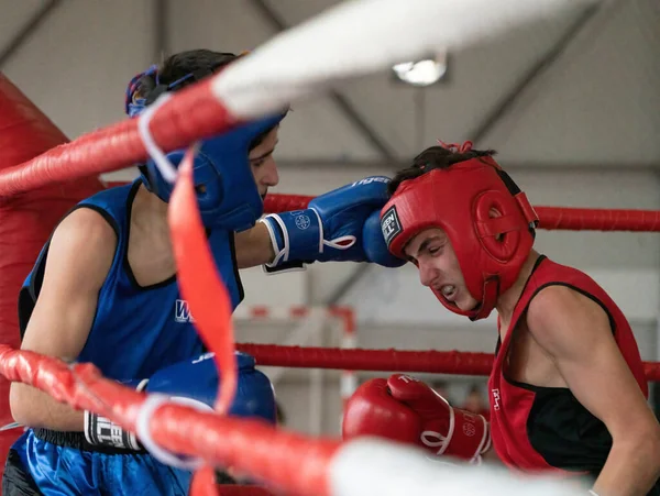 Batumi Géorgie Décembre 2021 Tournoi Boxe — Photo