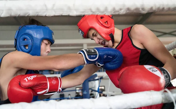 Batumi Georgia Diciembre 2021 Torneo Boxeo —  Fotos de Stock