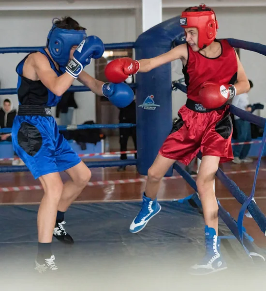 Batumi, Gürcistan - 12 Aralık 2021: Boks turnuvası